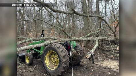 1 injured after tree crashes down on farm in Westport